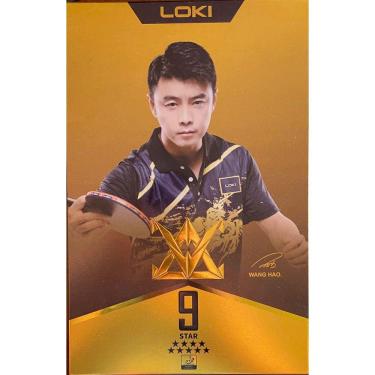 Imagem de Raquete de Tênis de Mesa Profissional Loki 9 Estrelas