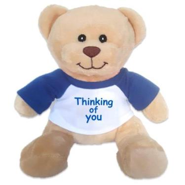 Imagem de Ursinho de pelúcia Hug-a-booboo Thinking of You 15cm