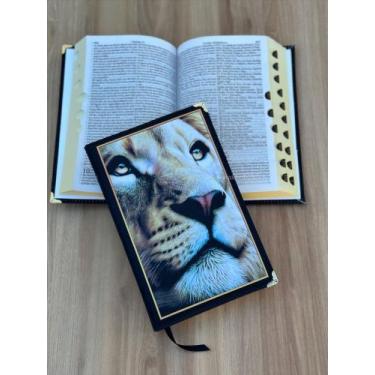 Imagem de Bíblia RC Leão Horizonte Capa dura acolchoada - com harpa e índice - C