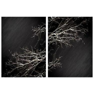 Imagem de Quadro Galhos Secos Duo Midiapoparte Em 2 Peças