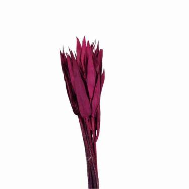 Imagem de Planta Seca Capim Navalha Pink 55cm - Pense Flores