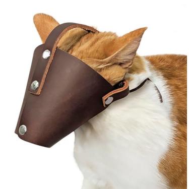 Imagem de Focinheira de couro braquicefálico