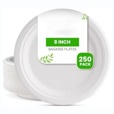 Imagem de FPN Pratos redondos compostáveis, resistentes descartáveis, biodegradáveis de cana de açúcar, seguros para micro-ondas e freezer para festas, casamentos, eventos (20 cm, 250, contagem)