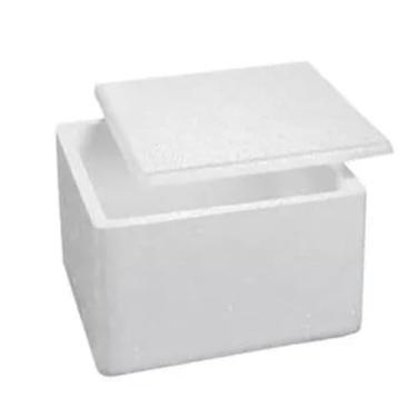 Imagem de Caixa De Isopor 2 Kg Medicamento/Sorvete/Insulina 2l- 1 unidade