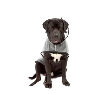 Imagem de Capa de Chuva para Cachorro e Gato Pet - Bichinho Chic, Preto, 1