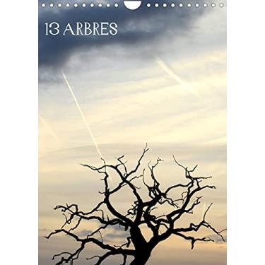Imagem de 13 ARBRES (Calendrier mural 2022 DIN A4 vertical): Les arbres dans nos paysages (Calendrier mensuel, 14 Pages)