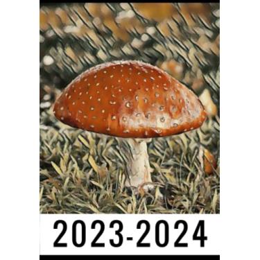 Imagem de 2-Year 2023-2024 Pocket Planner Mushroom: Monthly Calendar & Agenda Organizer, Monthly Appointment Book, Jan 2023 Dec 2024 Personal Time Management, ... your next 2 years, Gifts For Mushroom lovers.