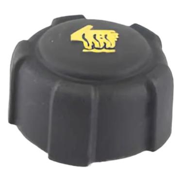 Imagem de Tampa Reservatorio Agua Radiador Fluence 2011 á 2017 / Kangoo 2000 á 2026 / Kardian 2024 2025 2026