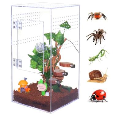 Imagem de SORWATEE Terrário de aranha saltadora de acrílico com porta de abertura frontal, terrário de micro habitat para répteis de pequenas árvores, caixa de tarântula arbórea (15 x 15 x 30 cm)