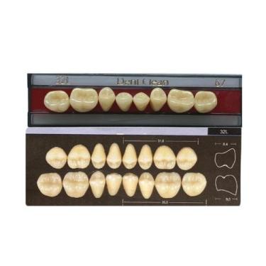 Imagem de Dente Dent Clean Posterior 32L Inferior - Imodonto