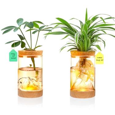 Imagem de 2 unidades de estação de propagação de plantas com fundo em forma de montanha - vasos de vidro hidropônico com base de madeira e iluminação, potes de terrário para cultivo interno, viário de mesa