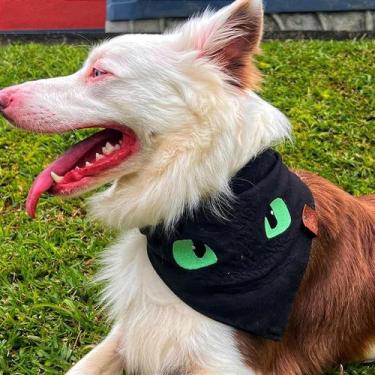 Imagem de Bandana Rosto Bangela - Acessório Pet Estiloso para Treinar Seu Dragão
