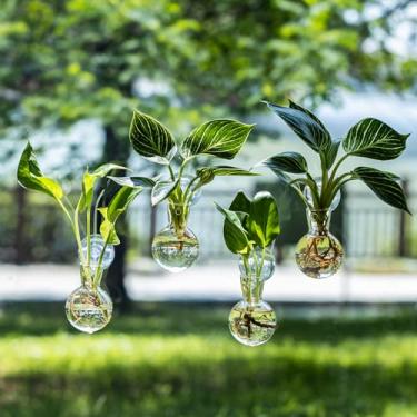 Imagem de DNIENKGE 4 estações de propagação de janela, vaso de propagação com ganchos de ventosa, fácil de instalar, vasos de terrário de vidro para propagação de plantas aquáticas e estacas de enraizamento (4)