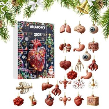 Imagem de Calendário de Contagem Regressiva 2025 - Figuras de Anatomia 2D 2025 - Pingentes De Calendário De Natal Científico,Para Mesa Parede Sala De Estar Quarto Janela Porta Aniversário Lareira