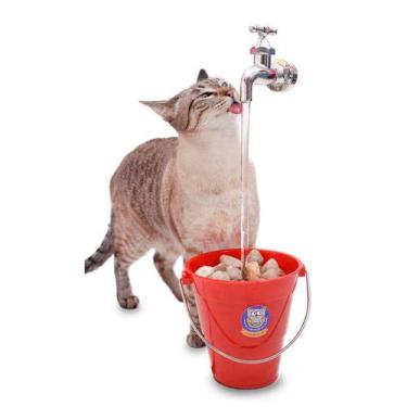 Imagem de Bebedouro Torneira Fonte Gato Magicat Vermelho 110V Catmypet - Cat My