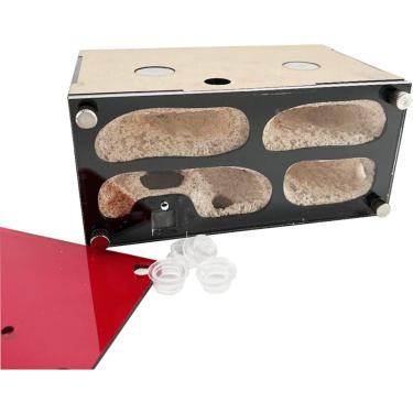 Imagem de Fazenda de formigas acrílicas Expansão infinita Ninho de formiga Área de casa de insetos de concreto Área de criação de rainha Kit de formigueiro Acessórios Castelo de formigueiro Casa de fo