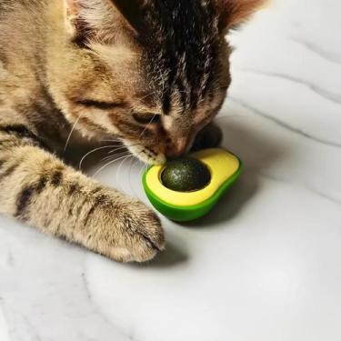 Imagem de Bolinha Catnip Abacate Brinquedo P/ Gato Morder Roer - Toys Avocndo
