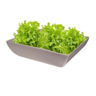 Imagem de Saladeira Quadrada 2,9 Lt Vasilha Petisqueira Cinza - Evo