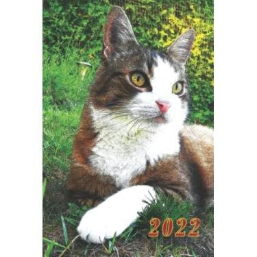 Imagem de THE YEAR OF THE CAT 2022 WEEKLY PLANNER NOTEBOOK: 6''x9'‘ CALENDAR notebook "cat" for the year 2022 - appointment book - a perfect Christmas gift, or for a birthday in the last days of the year