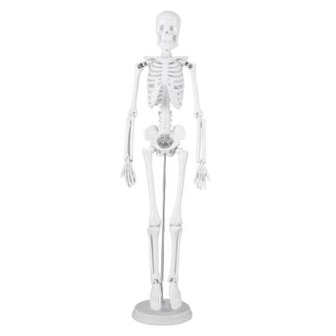 Imagem de HURRISE Modelo de Esqueleto Humano de 45 Cm, Demonstração Anatômica Com Mandíbula Móvel, Mãos Giratórias, Pés, Parte Superior do Crânio Destacável, para Ensino de Sala de Aula,