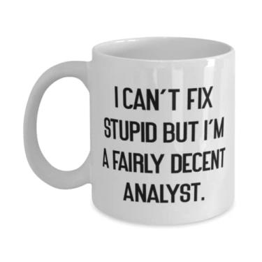 Imagem de Presentes de analista sarcástico, I Can't Fix Stupid but I'm a Fairly Decent Analyst, caneca reutilizável de 325 g 443 ml para colegas de trabalho do time Leader