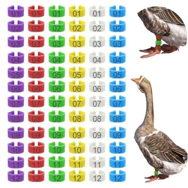 Imagem de Keedolla 72 peças de faixas coloridas numeradas de 25 mm para perna de pato e ganso, anéis de perna de frango extragrandes para aves e peru, etiquetas de tornozelo de pato para peru ganso e galinha da