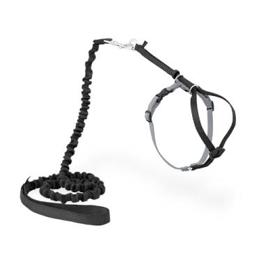 Imagem de PetSafe Come With Me Kitty Harness and Bungee Leash - Kitten - Small - Black/Silver