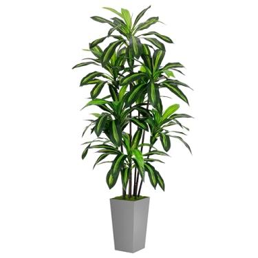 Imagem de Árvore artificial Dracaena de 1,8 m - árvore falsa com vaso alto cinza - planta de mandioca tropical falsa em vaso - árvore de seda artificial para decoração de sala de estar em casa, escritório, sala