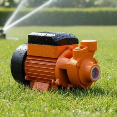 Imagem de Bomba Periférica D'Água Motobomba 1/2hp Centrifuga 1 Polegada Laranja (110, Volts)