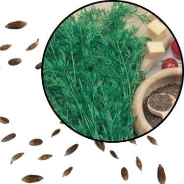 Imagem de Sementes S99 Cominho Verdadeiro 100 Natural clima tempo Cultivo Cultur