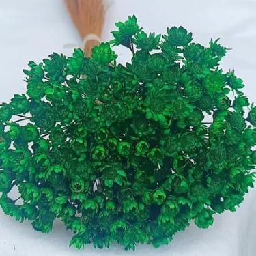 Imagem de Sempre vivas COLORIDAS EXTRA, kit com 3.000 flores secas desidratadas para casamento (VERDE ESCURO)