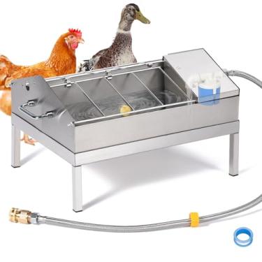 Imagem de Alimentadores de frango em pé e bebedouros de frango