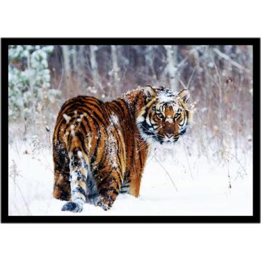 Imagem de Quadro Decorativo Animais Tigre De Bengala Veterinário Pet Shop Nature