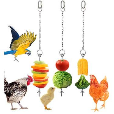 Imagem de Geila Espetos de frango e vegetais, suporte de comida de frutas, brinquedo de frango para galinhas, 3 peças para animais de estimação, brinquedo de comedouro de aço inoxidável para galinhas, pássaros