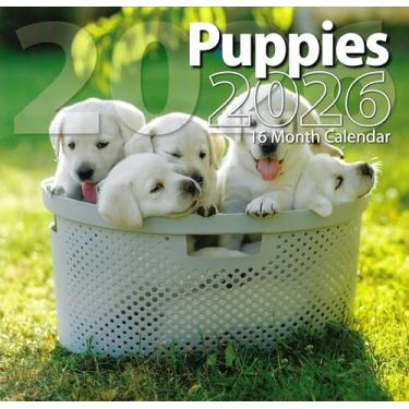 Imagem de Calendário de parede tamanho completo 2026 Puppies para planejamento, agendamento e organização