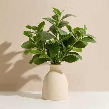 Imagem de Amore Florals Plantas artificiais de eucalipto de 40,6 cm em vaso, plantas falsas para ambientes internos – Vegetação realista com vaso, plantas artificiais pequenas de mesa de escritório em vasos