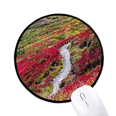 Imagem de DIYthinker Mouse pad colorido ciência da silvicultura cenário da natureza desktop escritório tapete redondo para computador