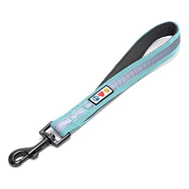 Imagem de (Teal) - Pawtitas Pet Training Padded Handle Reflective Short Leash for Large Dogs 0.3m