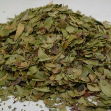 Imagem de Uva Ursi (arctostaphylos Uva-ursi L) 1 Kg - Temper Ervas