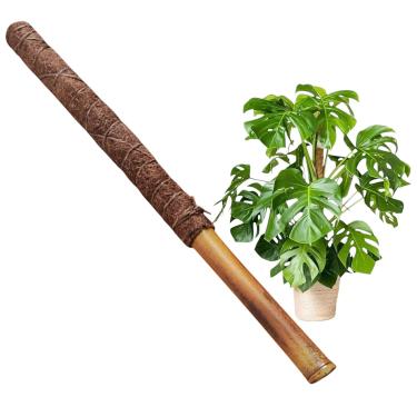Imagem de Tutor Planta Trepadeira Grande 100 Cm Bambu Fibra De Coco