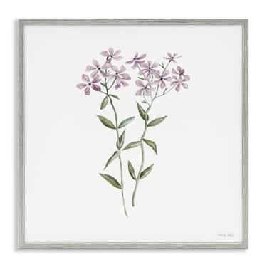 Imagem de Stupell Industries Arte giclée emoldurada preta roxa Phlox botânica, design de Cindy Jacobs, 61 x 61 cm