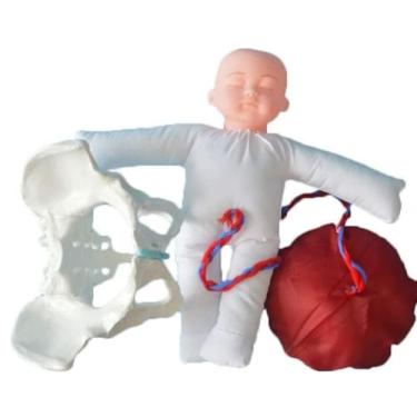Imagem de IUBGFTO Modelo de entrega de pelve feminina - simulador de parto fetal/cordão umbilical/placenta modelo de pelve feminina e pelve de bebê para ensino de ginecologia