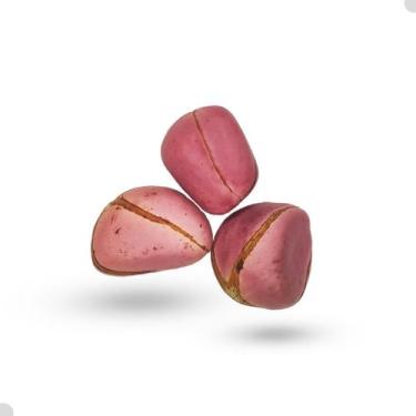 Imagem de Semente Obi Africano 4 Gomo Ritual Candomblé 1 Unidade - Rei Dos Orixá