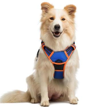 Imagem de Arnês para cães rabbitgoo No Pull ajustável azul e laranja M
