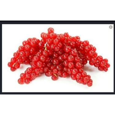 Imagem de Aroma De Groselha Negra Alimentícia - Com 1 Litro - BIANQUIMICA