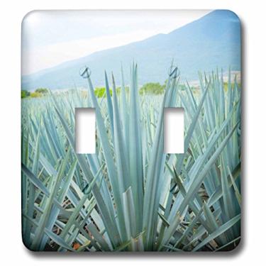 Imagem de 3dRose (lsp_229208_2) Interruptor duplo azul agave, colheita, tequila, Jalisco, México