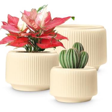 Imagem de OXART Vasos de plantas (JW10310B) (amarelo)