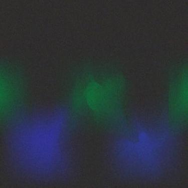 Imagem de Quadro Decorativo Estampa Green and Blue Abstract Neon Glow Light - Arte moderna luz de parede 30x30cm