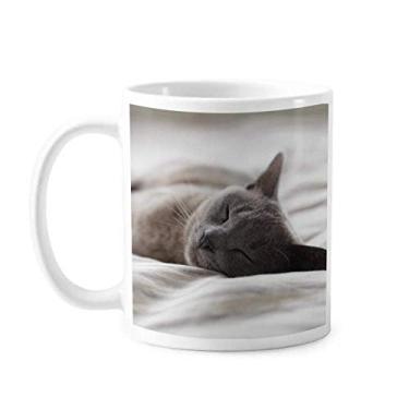 Imagem de Caneca de foto de gato cinza fofa, caneca de cerâmica e porcelana de café