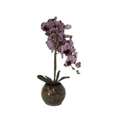 Imagem de Orquídea Burgundy Pintada x2 Vaso Aquário - Biofil